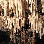 пещера Стеркфонтейн, ЮАР